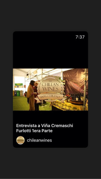 Cremaschi Furlotti - Capitulo 5 -  Entrevista ChileanWines