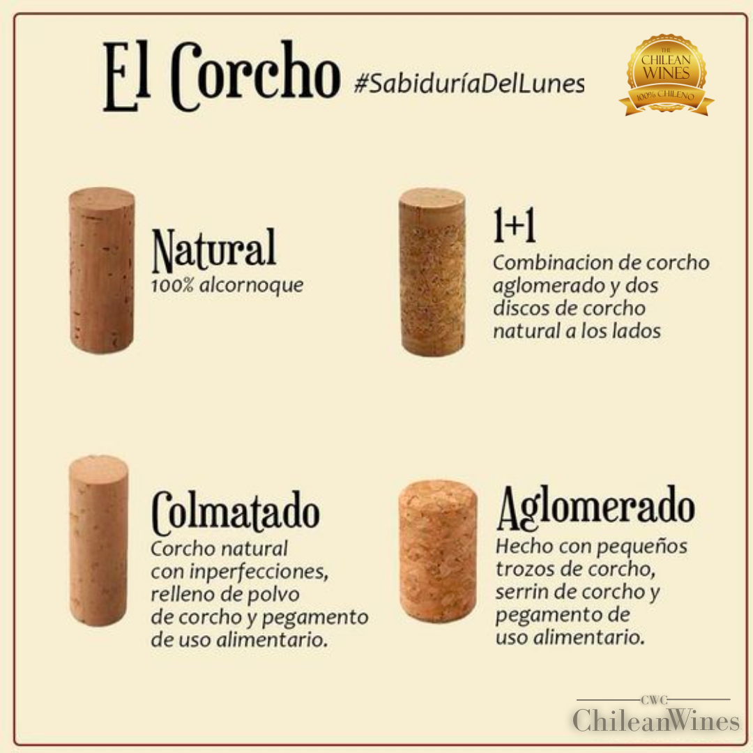 Tipos de corcho en ChileanWines – Chileanwines